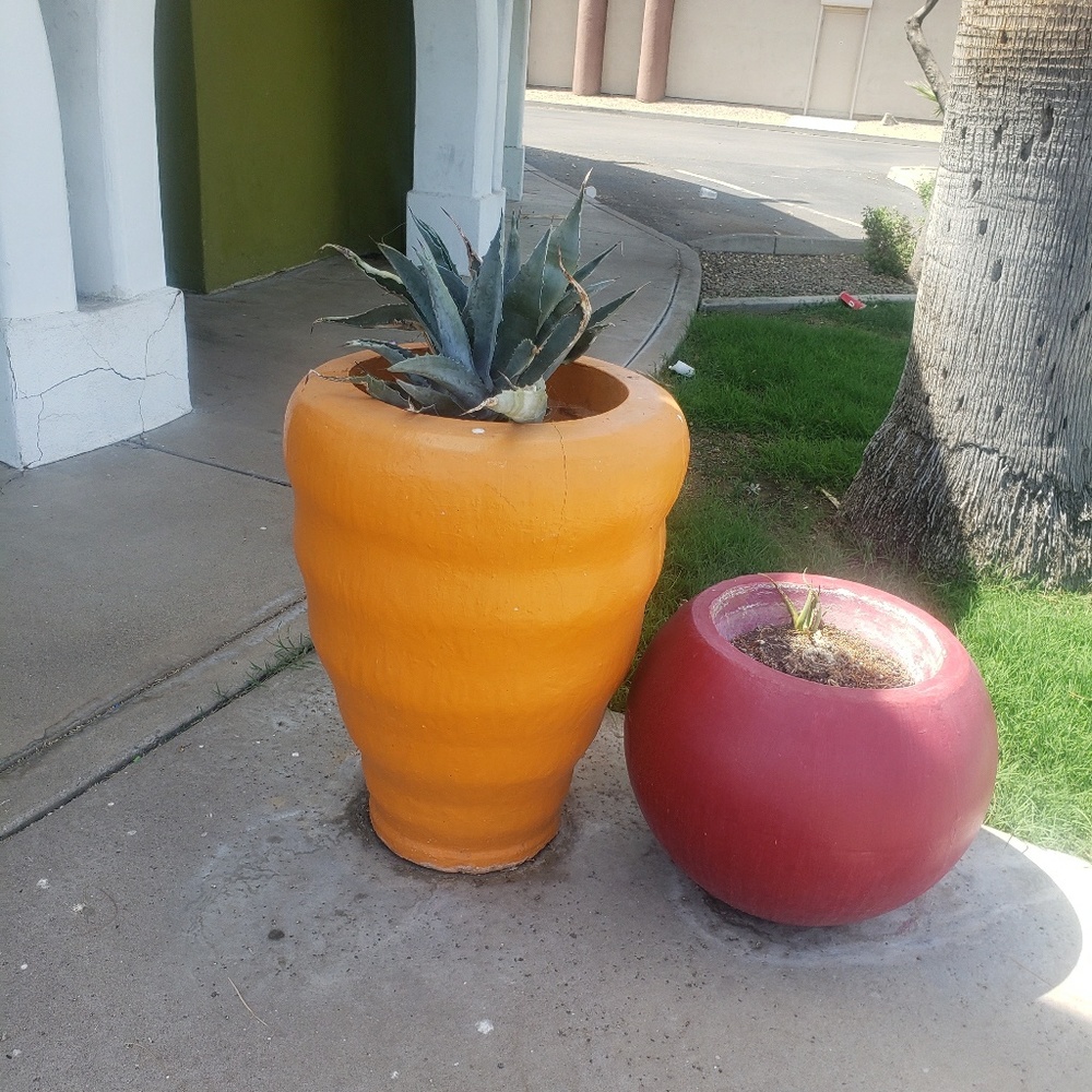 Meet your Posher, Tj